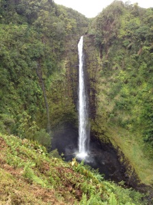 Akaka Falls. Hint: don't go on Wednesday, cruise ship day in Hilo
